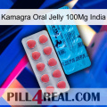 Kamagra Oral Jelly 100Mg India new14